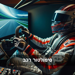סימולטור רכב